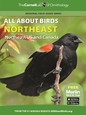 cover image of All About Birds Northeast